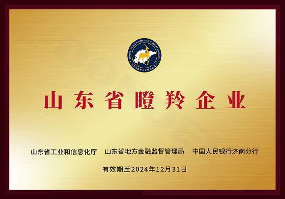 山东省瞪羚企业