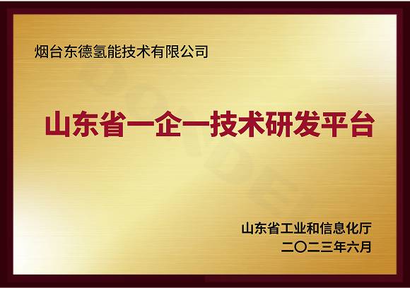 山东省一企一技术研发平台